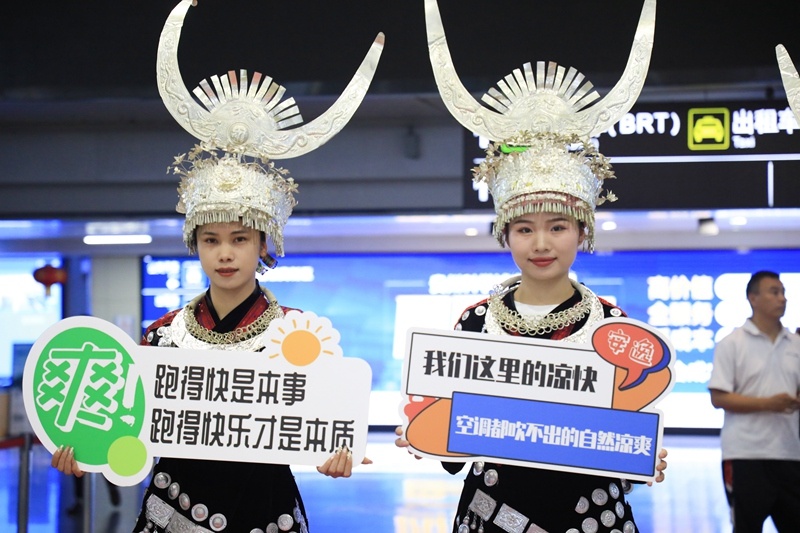 cn, 该队队员杨, https